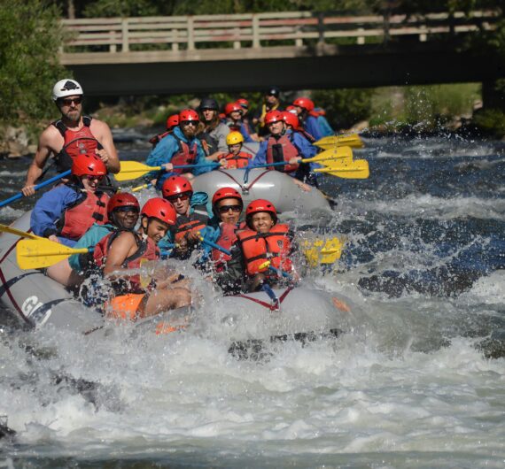 pexels-jeffeson-deshommes-223566262-13017112