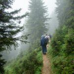 pexels-lazaydin53-12621295