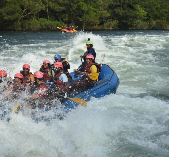 pexels-oyeyogi-31798407