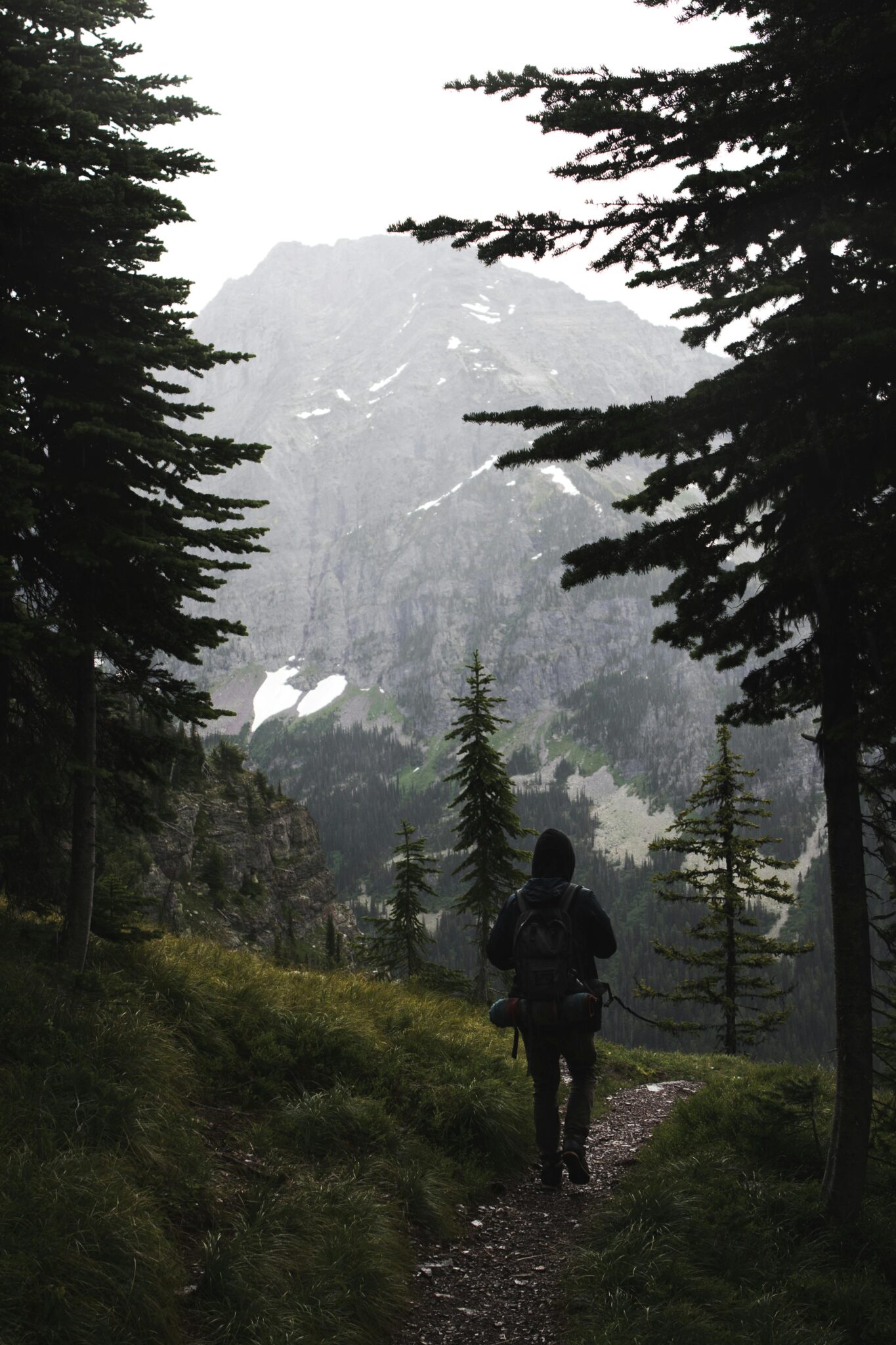 pexels-trvlust-6108458