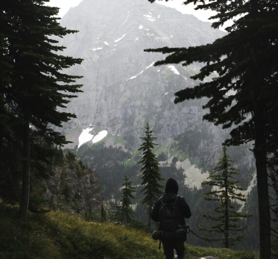 pexels-trvlust-6108458