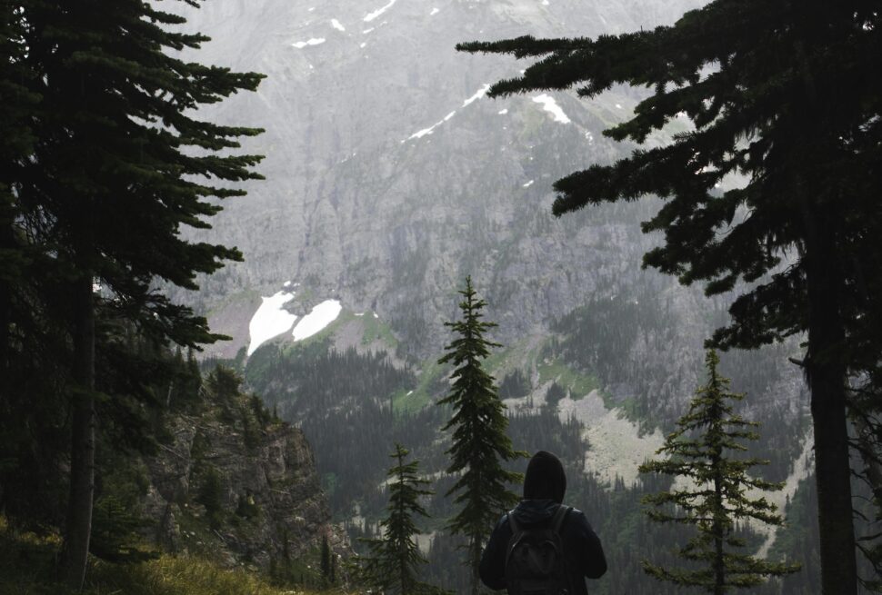 pexels-trvlust-6108458