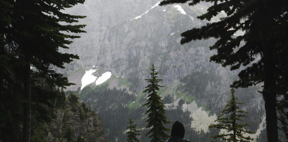 pexels-trvlust-6108458