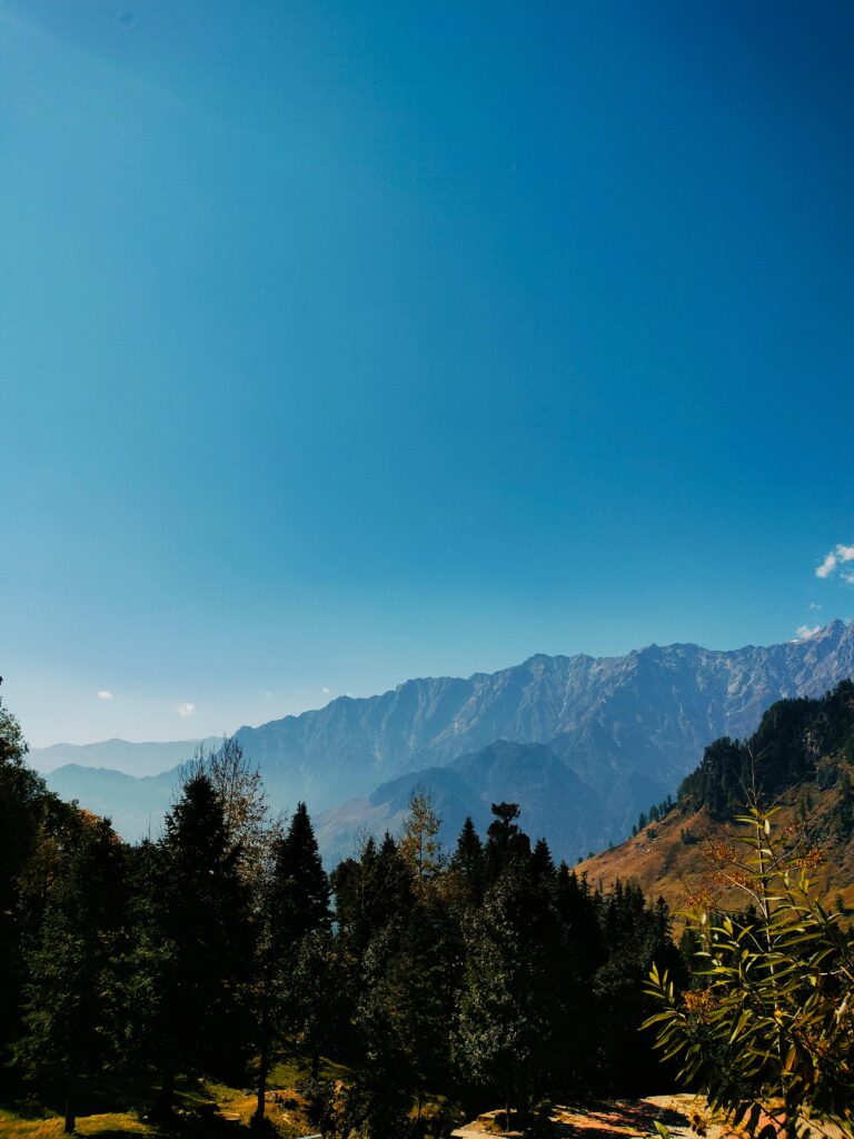 The Art of Drawing Readers In: Your attractive post title goes here pexels ikigai 29136065