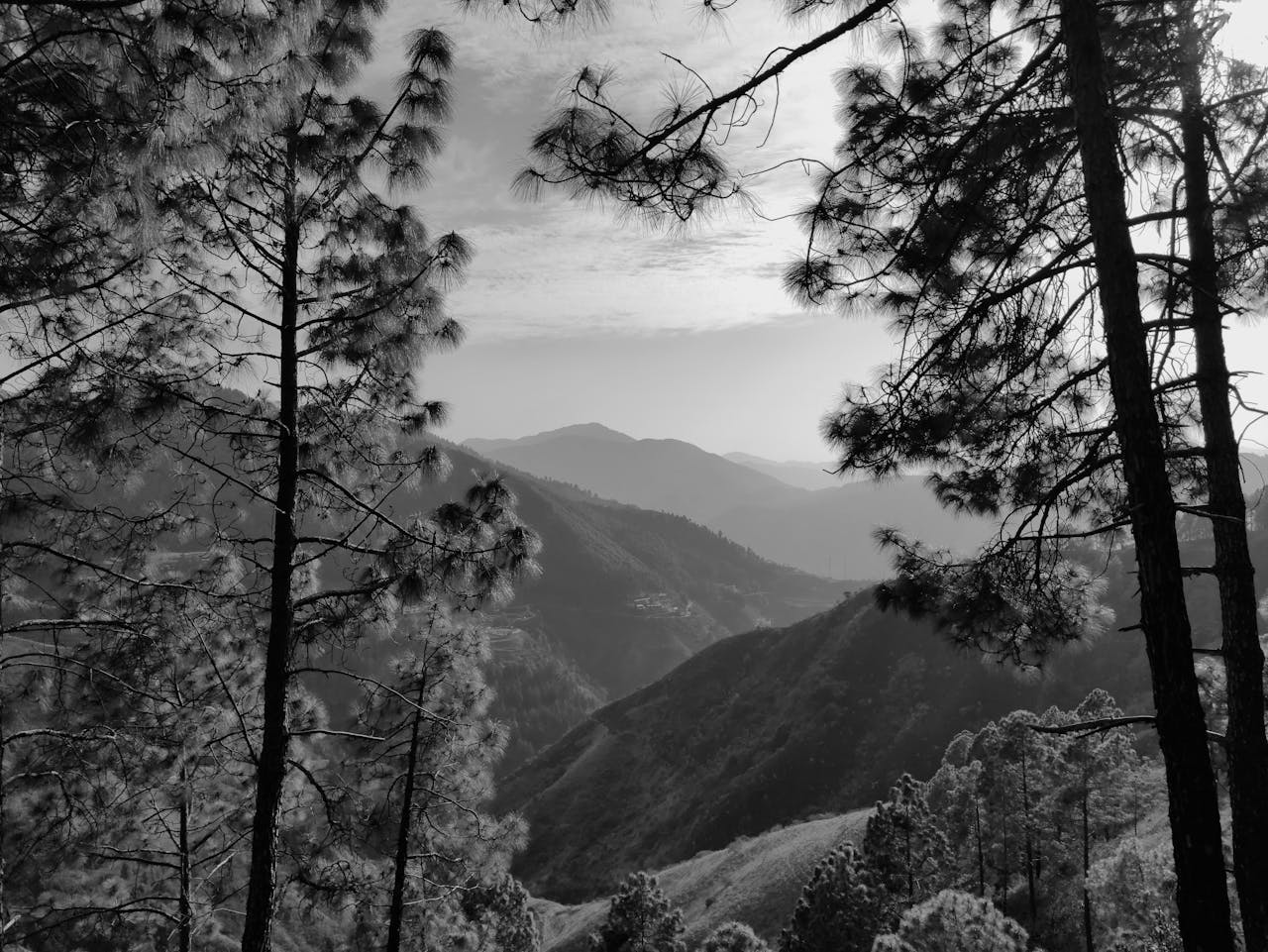 A captivating black and white view of the Himalayan mountains from Dehradun.